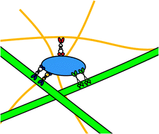 Graphical abstract: Navigating the cell: how motors overcome roadblocks and traffic jams to efficiently transport cargo