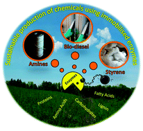 Graphical abstract: Immobilised enzymes in biorenewables production