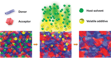 Graphical abstract: Using volatile additives to alter the morphology and performance of active layers in thin-film molecular photovoltaic devices incorporating bulk heterojunctions