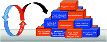 Graphical abstract: New directions in thermoresponsive polymers