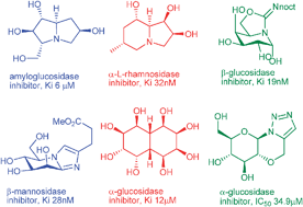 Graphical abstract: Recent developments in design and synthesis of bicyclic azasugars, carbasugars and related molecules as glycosidase inhibitors