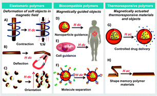 Graphical abstract: Magnetic responsive polymer composite materials