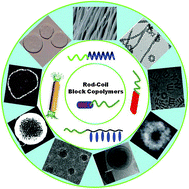 Graphical abstract: Tunable assembly of amphiphilic rod–coil block copolymers in solution