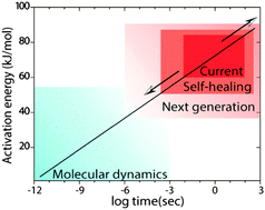 Graphical abstract: Ultra-stable organic fluorophores for single-molecule research