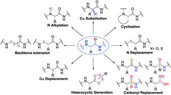 Graphical abstract: Peptidomimetics via modifications of amino acids and peptide bonds