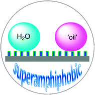 Graphical abstract: Superamphiphobic surfaces