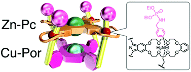 Graphical abstract: Synthesis of a hetero-dinuclear metal complex in a porphyrin/phthalocyanine four-fold rotaxane