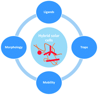 Graphical abstract: The renaissance of hybrid solar cells: progresses, challenges, and perspectives