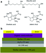 Graphical abstract: Natural resin shellac as a substrate and a dielectric layer for organic field-effect transistors