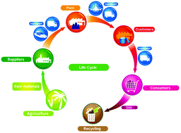 Graphical abstract: Life cycle assessment of surfactants: the case of an alkyl polyglucoside used as a self emulsifier in cosmetics