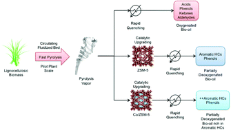 Graphical abstract: Pilot-scale validation of Co-ZSM-5 catalyst performance in the catalytic upgrading of biomass pyrolysis vapours