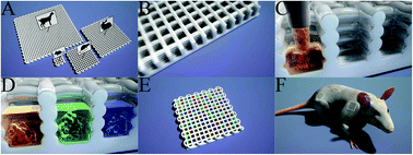 Graphical abstract: In vivo screening of extracellular matrix components produced under multiple experimental conditions implanted in one animal