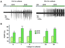 Graphical abstract: Long-term culture and functionality of pancreatic islets monitored using microelectrode arrays