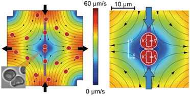 Graphical abstract: Measuring cell mechanics by optical alignment compression cytometry