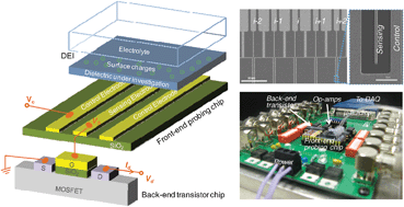 Graphical abstract: Quantitative probing of surface charges at dielectric–electrolyte interfaces