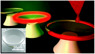 Graphical abstract: On-chip microlasers for biomolecular detection via highly localized deposition of a multifunctional phospholipid ink