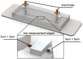 Graphical abstract: Electrical measurement of red blood cell deformability on a microfluidic device