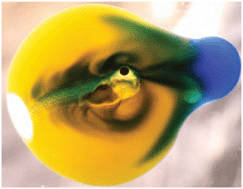 Graphical abstract: A novel approach to quantifying ciliary physiology: microfluidic mixing driven by a ciliated biological surface
