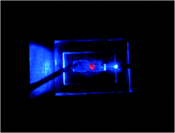 Graphical abstract: A plastic total internal reflection photoluminescence device for enzymatic biosensing