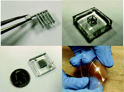 Graphical abstract: 3D structures of liquid-phase GaIn alloy embedded in PDMS with freeze casting