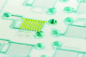 Graphical abstract: Single-step design of hydrogel-based microfluidic assays for rapid diagnostics