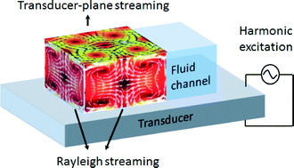 Graphical abstract: Numerical simulation of 3D boundary-driven acoustic streaming in microfluidic devices