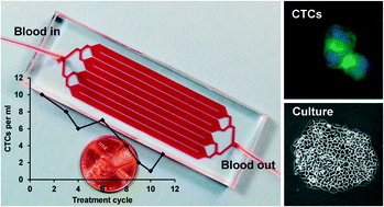 Graphical abstract: Capture, release and culture of circulating tumor cells from pancreatic cancer patients using an enhanced mixing chip