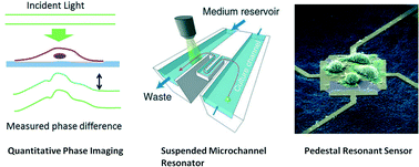 Graphical abstract: New technologies for measuring single cell mass