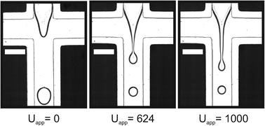 Graphical abstract: Microfluidic flow-focusing in ac electric fields