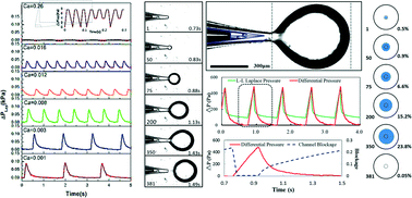 Graphical abstract: Direct measurement of the differential pressure during drop formation in a co-flow microfluidic device