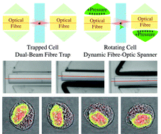 Graphical abstract: Dynamically reconfigurable fibre optical spanner