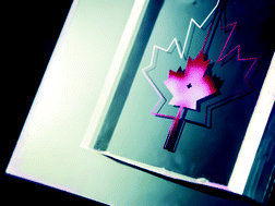 Graphical abstract: Canadian contributors 2013