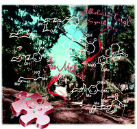 Graphical abstract: Recent contributions from the asymmetric aza-Michael reaction to alkaloids total synthesis