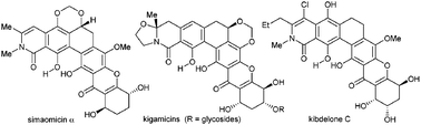 Graphical abstract: Polycyclic xanthone natural products: structure, biological activity and chemical synthesis