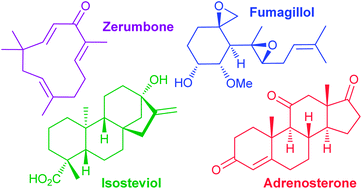 Graphical abstract: Natural products as starting points for the synthesis of complex and diverse compounds