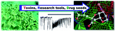 Graphical abstract: Recent progress in neuroactive marine natural products