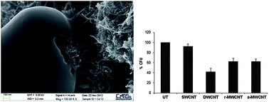 Graphical abstract: Inhibition of microbial growth by carbon nanotube networks
