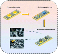 Graphical abstract: Direct growth of nanotubes and graphene nanoflowers on electrochemical platinum electrodes