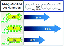 Graphical abstract: Kinetics-controlled growth of bimetallic RhAg on Au nanorods and their catalytic properties