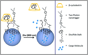 Graphical abstract: Photo-redox activated drug delivery systems operating under two photon excitation in the near-IR