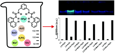 Graphical abstract: A new family of bis-ureidic receptors for pyrophosphate optical sensing