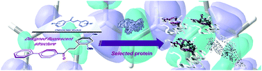 Graphical abstract: Probing deep into the interaction of a fluorescent chalcone derivative and bovine serum albumin (BSA): an experimental and computational study