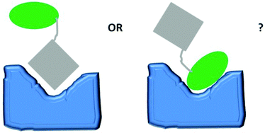 Graphical abstract: Exploring NMR methods as a tool to select suitable fluorescent nucleotide analogues