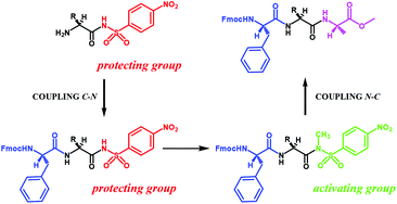 Graphical abstract: C → N and N → C solution phase peptide synthesis using the N-acyl 4-nitrobenzenesulfonamide as protection of the carboxylic function