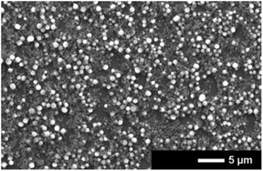 Graphical abstract: Tunable peptoid microspheres: effects of side chain chemistry and sequence