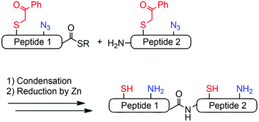 Graphical abstract: The phenacyl group as an efficient thiol protecting group in a peptide condensation reaction by the thioester method