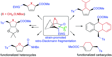 Graphical abstract: Strain-promoted retro-Dieckmann-type condensation on [2.2.2]- and [2.2.1]bicyclic systems: a fragmentation reaction for the preparation of functionalized heterocycles and carbocycles