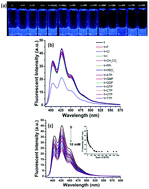 Graphical abstract: Selective detection of guanosine-5′-triphosphate and iodide by fluorescent benzimidazolium-based cyclophanes
