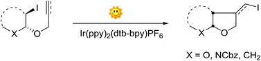 Graphical abstract: Visible light photoredox atom transfer Ueno–Stork reaction