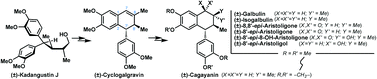 Graphical abstract: Collective synthesis of several 2,7′-cyclolignans and their correlation by chemical transformations